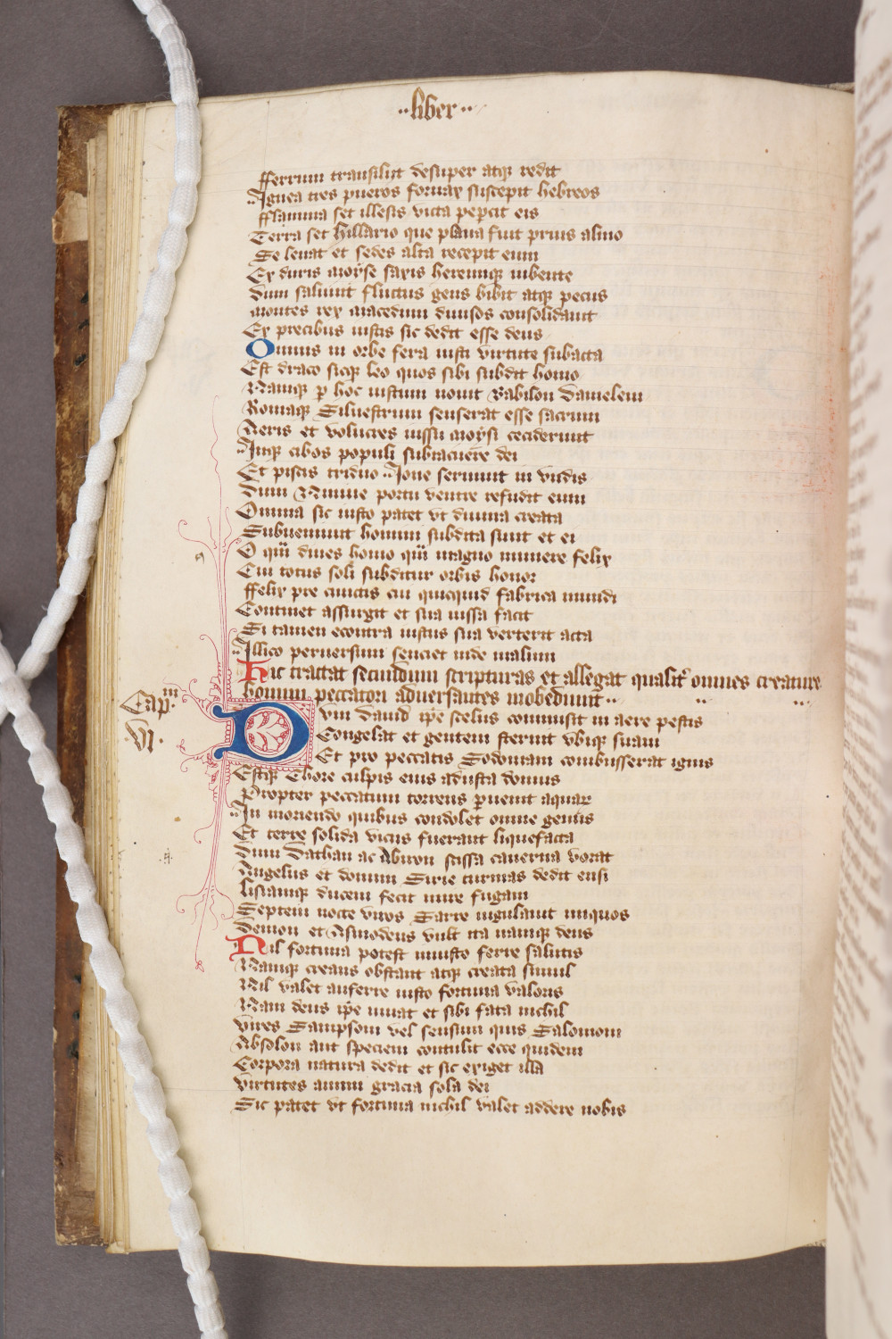 Folio 31 verso